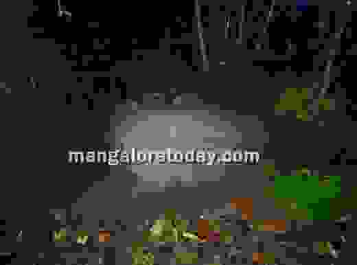 Mangalore Murder